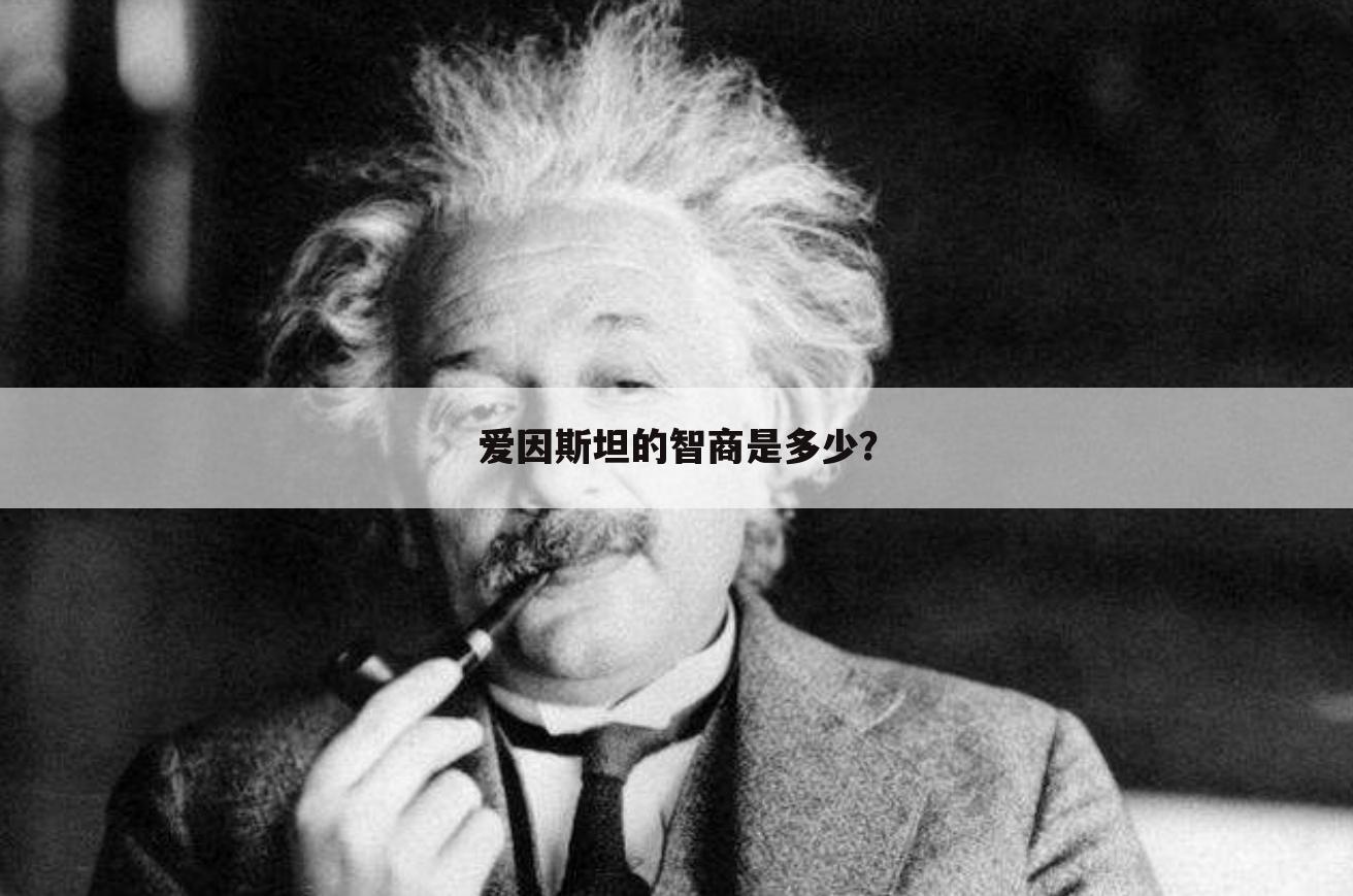 爱因斯坦智商多少,讨论爱因斯坦的智商是